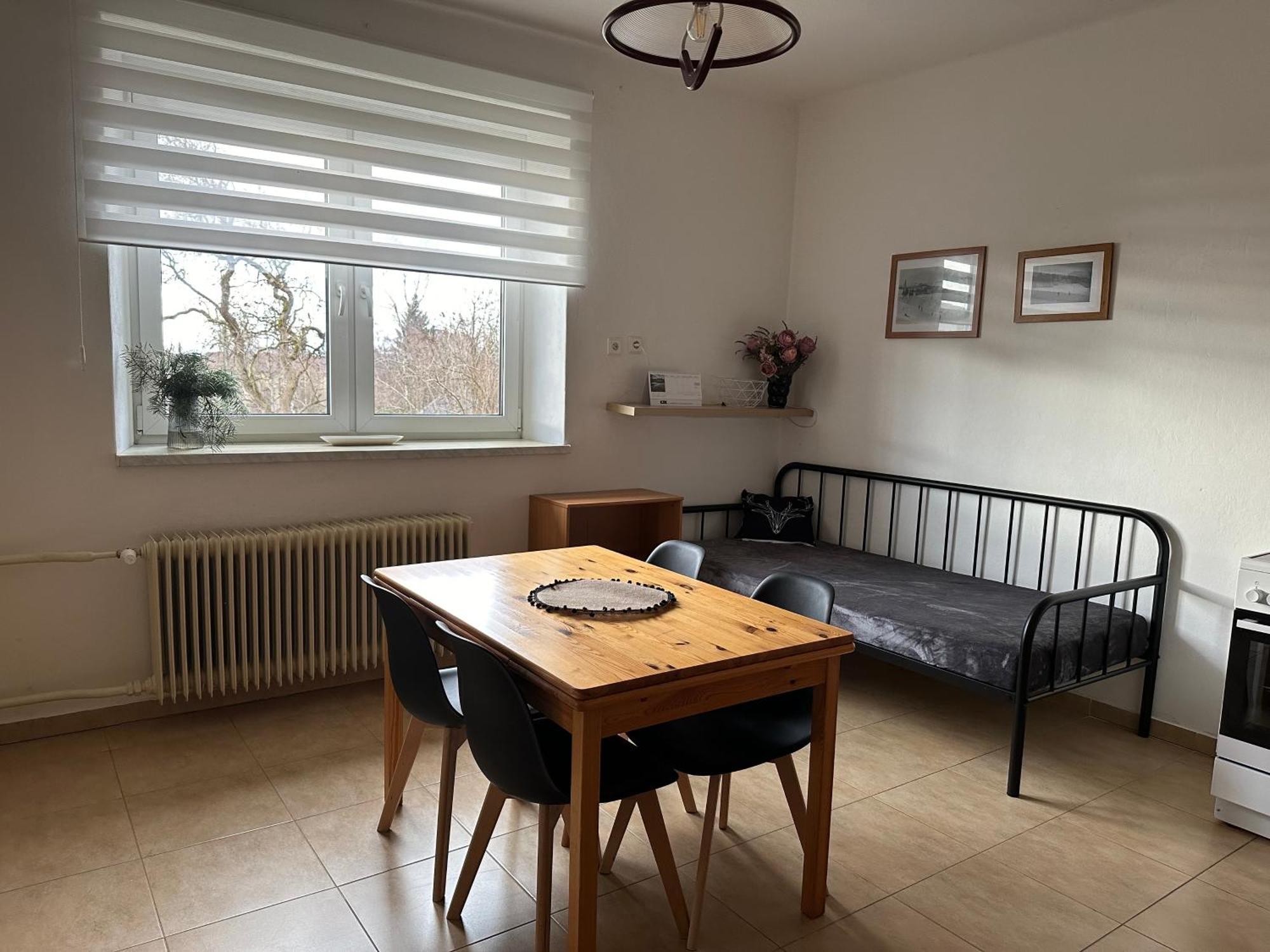 Apartman Aneta נובה מסטו נה מורבה מראה חיצוני תמונה